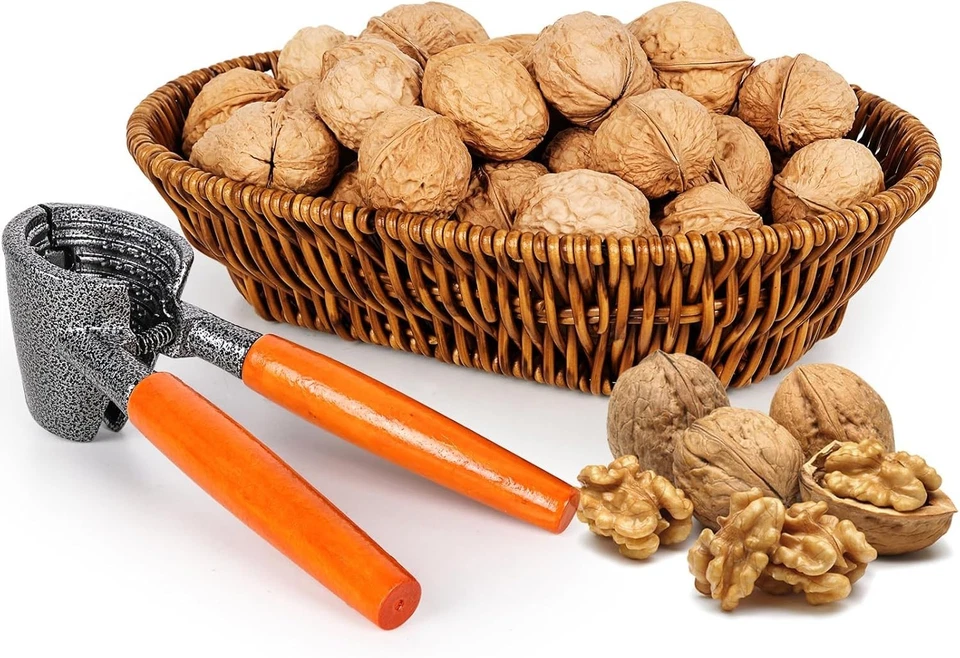 Nutcracker Walnut Cracker Pecan Nut Tool with Basket Versatile Durable - Image 3 of 4