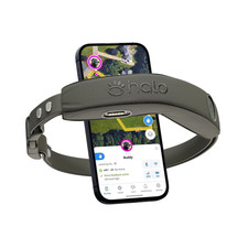 Halo Collar 4 GPS Wireless Dog Fence System, Graphite, One Size
