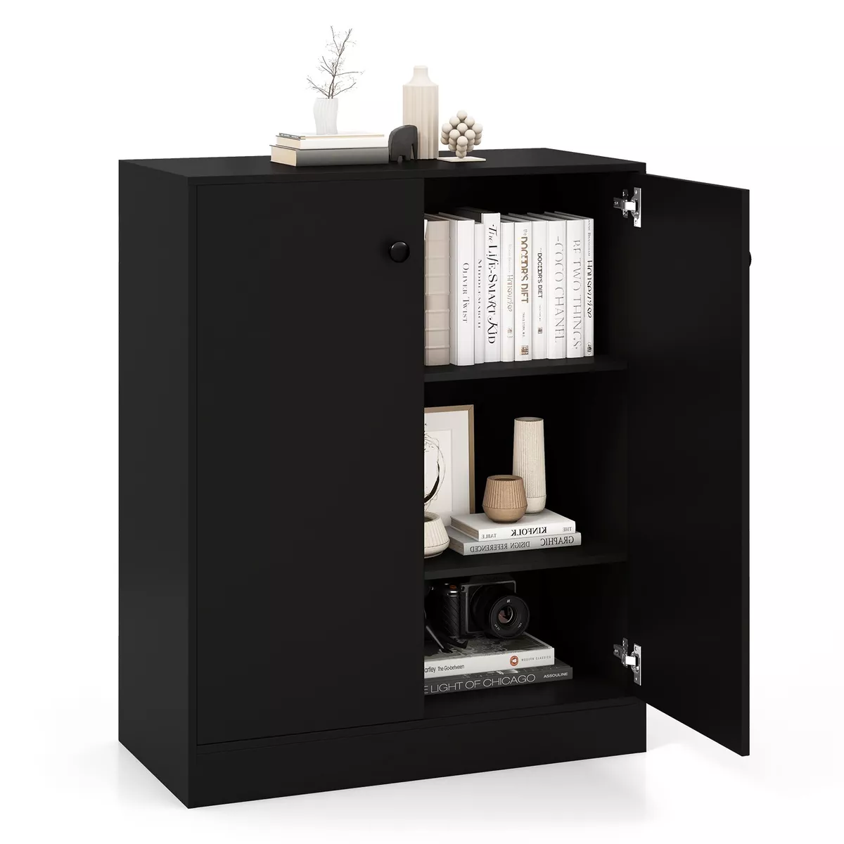 2 door cheap entryway cabinet