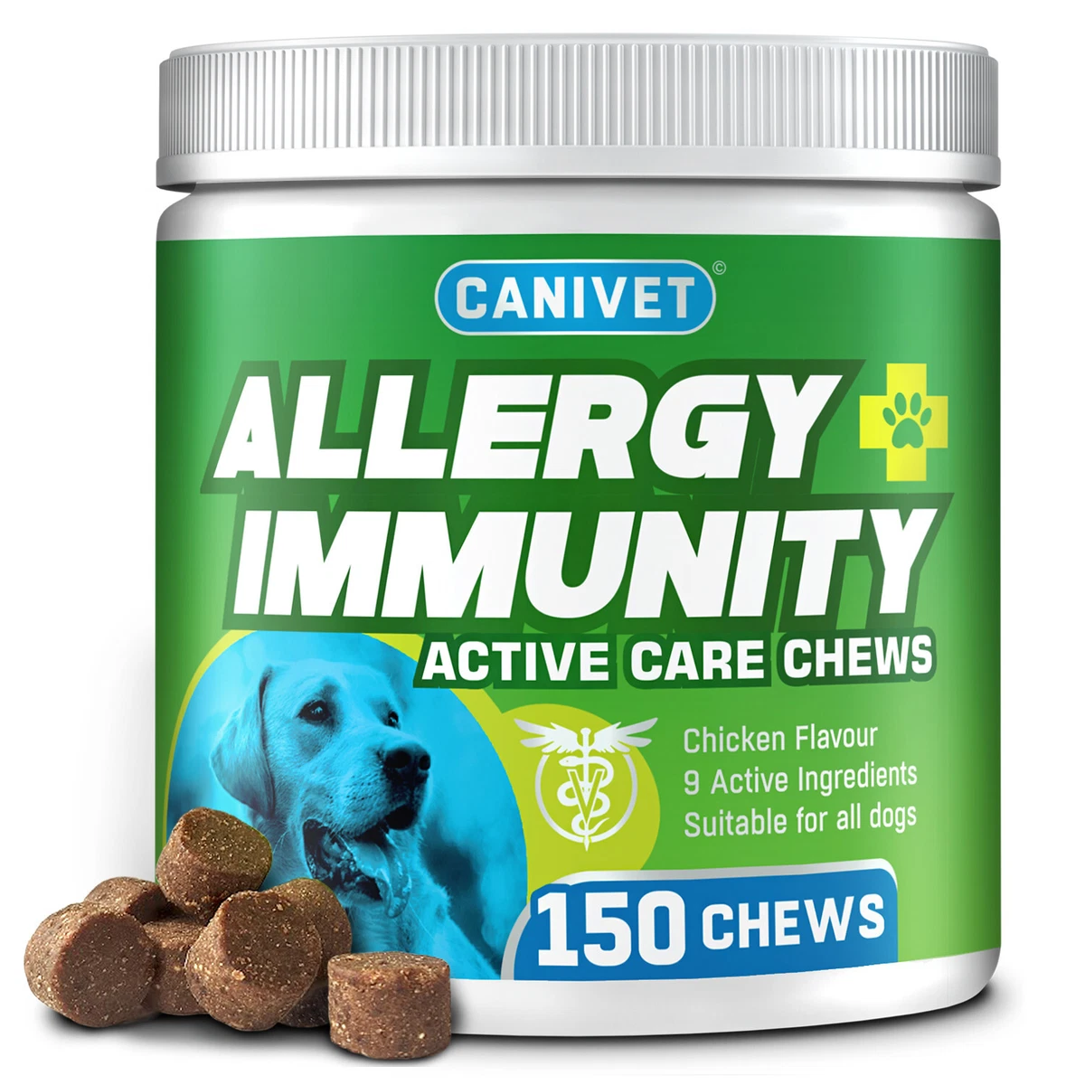 Best anti outlet itch dog food