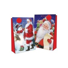 12 sacs cadeaux de Noël moyens comprenant étiquette cadeau 23 x 18 x 10 cm (12 x design 2) 
