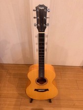Taylor / LTD Academy 12e [New / 162,000 yen]