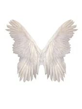 White 28x24" Feather Butterfly Fairy Angel Wings Halloween Costume Party