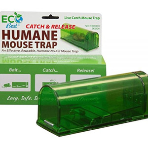 Harris-Humane-Mouse-Trap-Catch-amp-Release