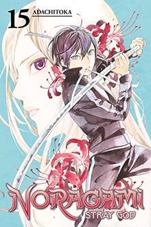 Noragami: Stray God 15 von Adachitoka | Buch | Zustand sehr gut