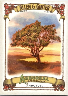 2021 Topps Allen & Ginter #AA-9 Arbutus Arboreal Appreciation