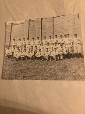 1929 N.L. Champions Chicago Cubs 8X10" b/w team photo