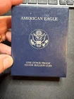 1999 American Silver Eagle Bullion Proof $1 Coin Collectible OGP COA #2398