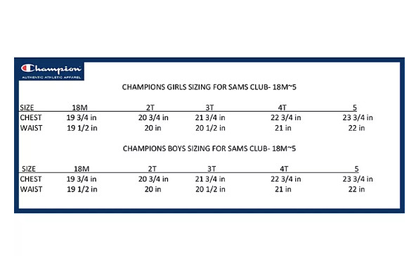 Champion Girls 3 Piece Set Size 5 Gray Blue Mist Tee Hoodie Leggings