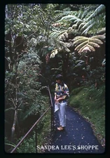 Kodak Slide 1966 Hawaii Woman Walking Thurston Lava Tube Walk  #392