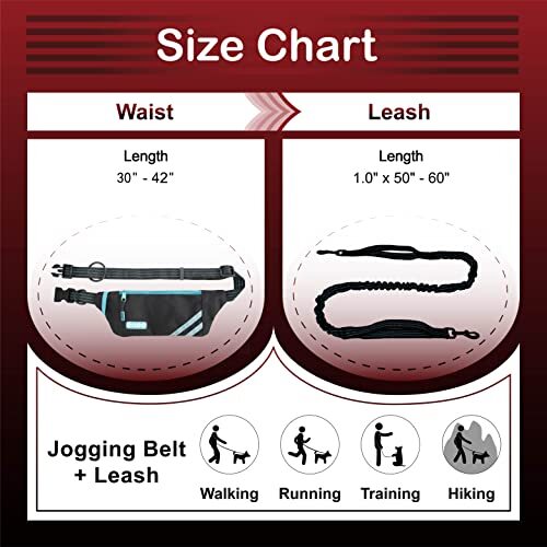 Lite Dog Jogging Belt with Zipper Pouch, Bungee Leash for Walking