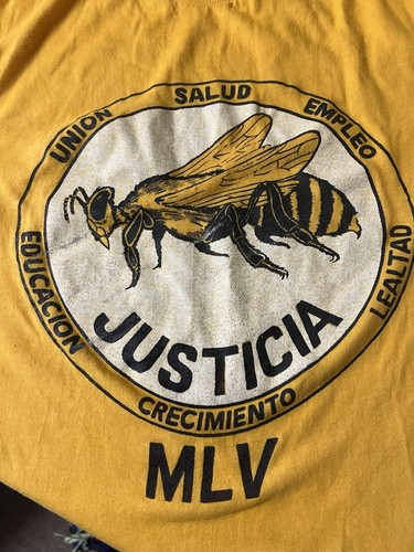 Vtg Latino Education Union Sz M T-Shirt Single Stitch Usa Made Bee Short Sleeve - Picture 3 of 8