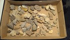 Assorted Geology Rockhounding Rock Collection From Colorado And The Western US — photo 1