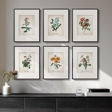 Framed Botanical Floral Wall Art, Set of 6 Vintage Wildflower Prints with Mat...