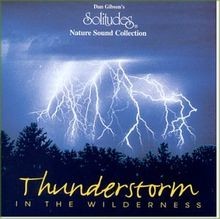 Thunderstorm von Gibson,Dan | CD | Zustand sehr gut