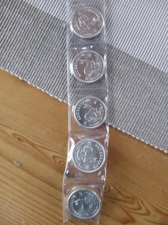 5x 1 oz Silbermünze Krugerrand Springbock 2020 0 999