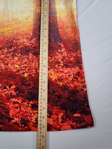 Catalogue Favorites Womens Hoodie Sweatshirt Small Velour Forest Trees Sunrise - Picture 10 of 14