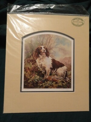 English Springer Spaniel Limited Edition Art Print by UK Artist John ...