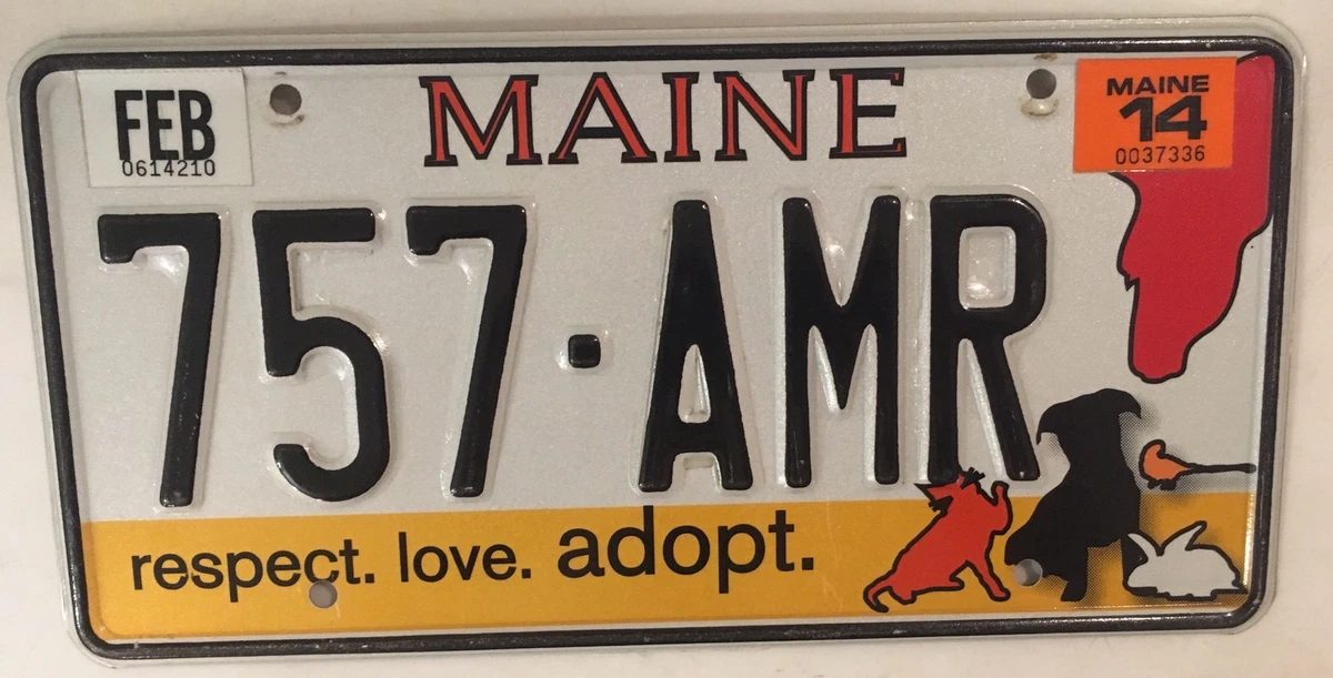 Animal Rescue License Plate Supports House Rabbits Rabbit Breeders