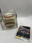 Steve Carlton Phillies Autograph Baseball in Display Case with 1983 Highlight C…