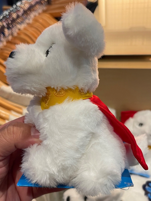Warner Bros. Studio Tour 2026 Superman Supergirl Krypto Dog