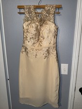 Elegant cream Lace dress