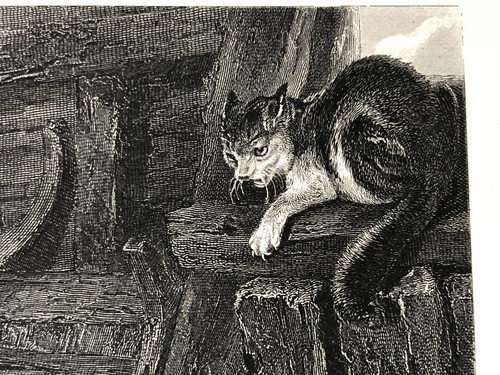 c. 1880s The Intruder, Edwin Landseer, Beckwith Antique Engraving Print - Picture 4 of 10
