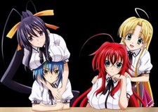 Highschool DxD tnk himejima akeno rias gremory Custom Gaming Mat Desk 1058