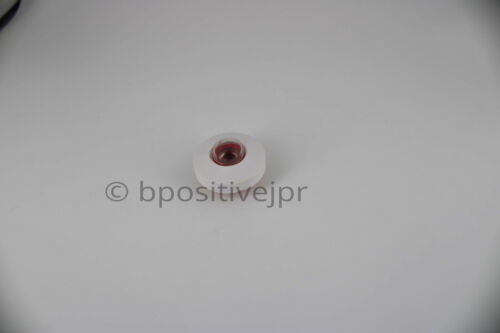 Phaco Practice Eyes 50 pcs Eyes