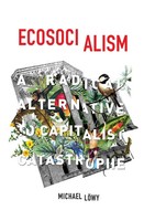 Michael LöWy | Ecosocialism | Taschenbuch | Englisch (2015) | Haymarket Books