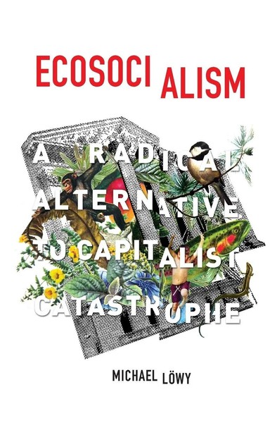 Michael LöWy | Ecosocialism | Taschenbuch | Englisch (2015) | Haymarket Books-image