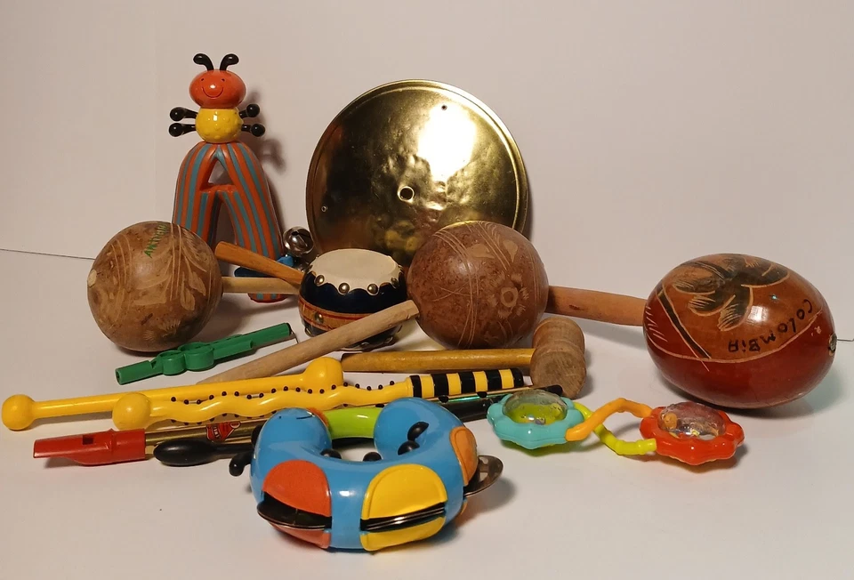 Lote de 12 Misc. Instrumentos de mano de percusión de juguete, agitadores - Envío gratuito Foto 3 de 3