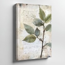Botanical Vintage Branch Canvas Wall Art With Script Background For Home Decor