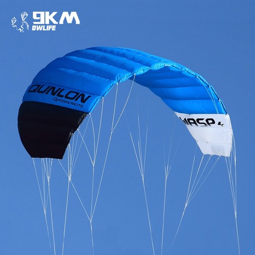 4sqm 4-Line Power Kite Outdoor Sports Traction Kite Professional Beginner Kite - Picture 2 of 8