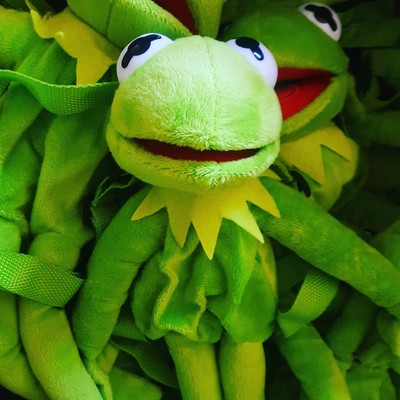 frog plush backpack