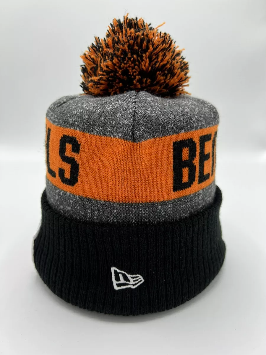 Beanie hat 2016 2025