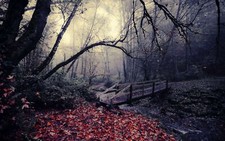 Landscape nature leaves bridge trees river fallen fall Custom Gaming Mat Desk