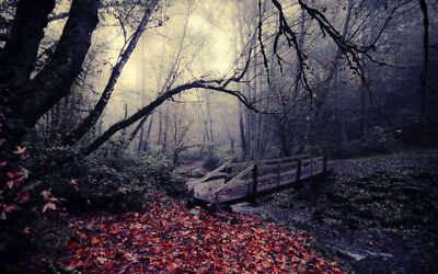 Landscape nature leaves bridge trees river fallen fall Custom Gaming Mat Desk