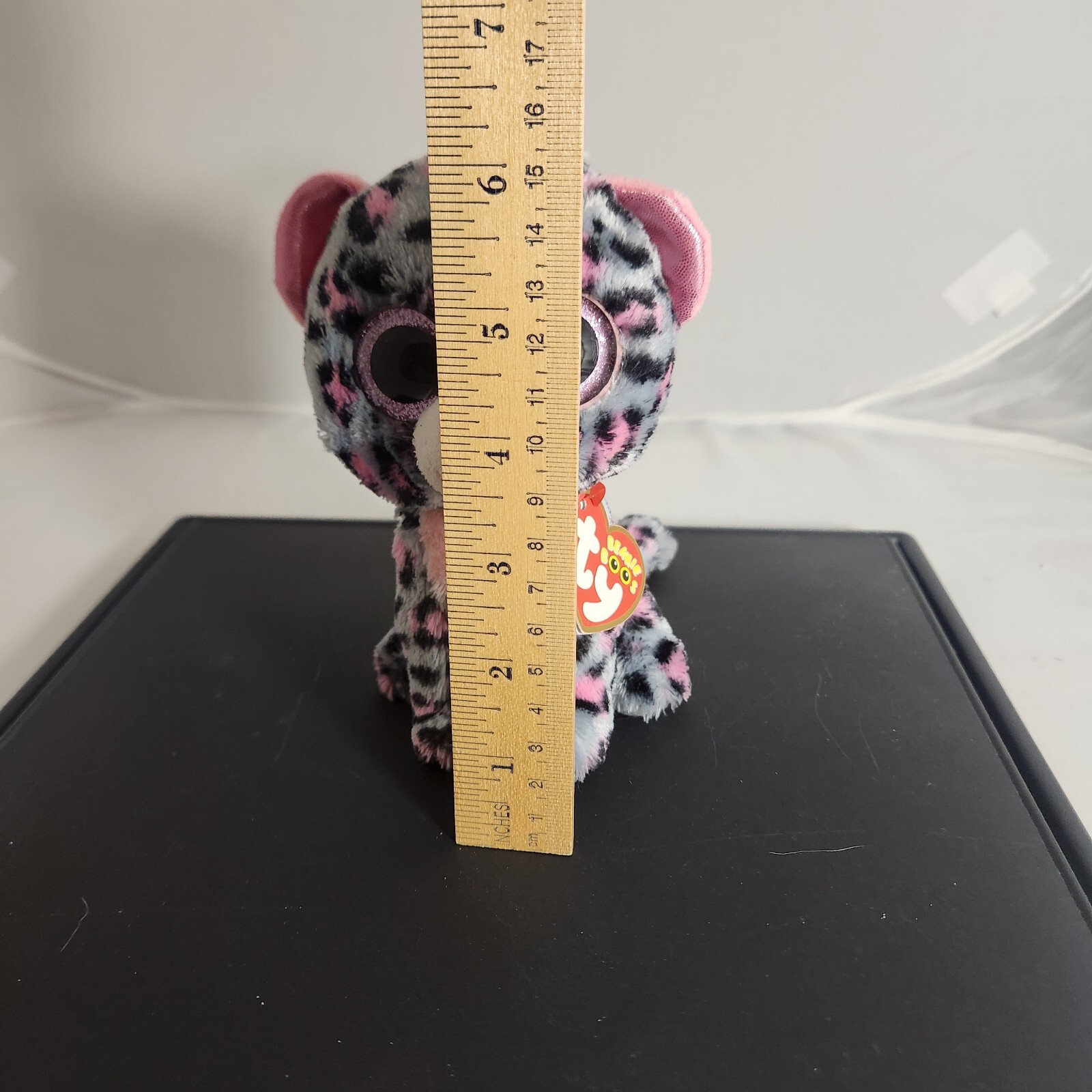 Picture 5 of 5