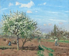 10218.Decor Poster.Room home wall art.Camille Pissarro painting.Orchard in Bloom
