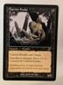 Carrion Feeder Scourge Regular