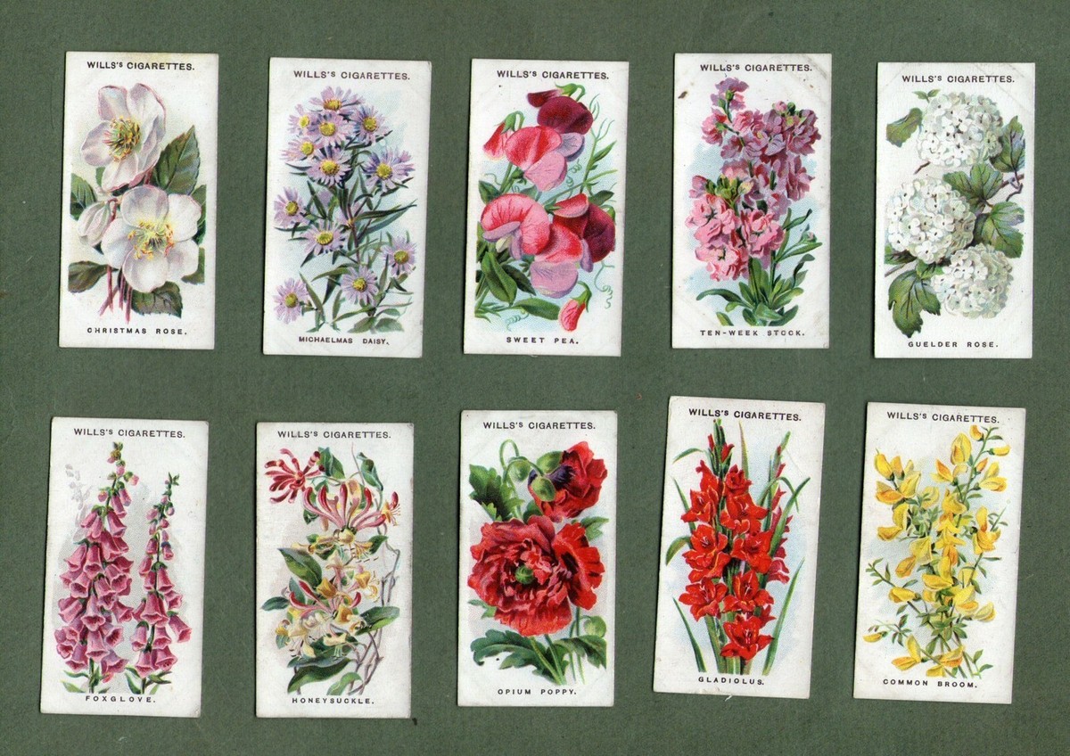 cigarette cards flowers Tobacco cigarette cards Old English Garden  Flowers,Lavenderl,Forget-me-not,Iris