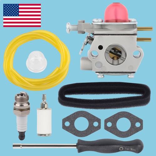 Carburateur pour TD R2510 R2560 R2570 R2520 R2700 2500 R2599