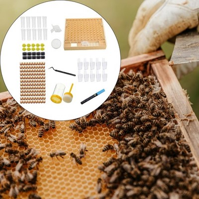 Queen Bee Aufzuchtsystem Kit Zubehör Hochleistungs-Produktivzellen
