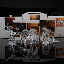 Swarovski SCS Trilogy Inspiration Africa set
