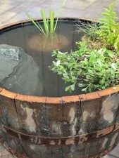 LARGE WATERTIGHT OAK HALF WHISKY BARREL - FOR WILDLIFE MINI POND  - 72CM X 45CM