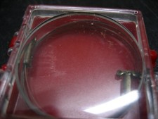 13" New IBM Selectric II or III Rotate Tape P/N 1138106 w/warranty