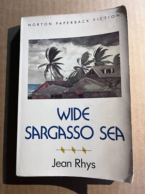 WIDE SARGASSO SEA  by Jean Rhys 1992 Norton trade paperback AMAZING WORK Cover B