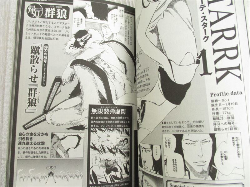 BLEACH Character Book 3 UNMASKED w/Sticker Art Book TITE