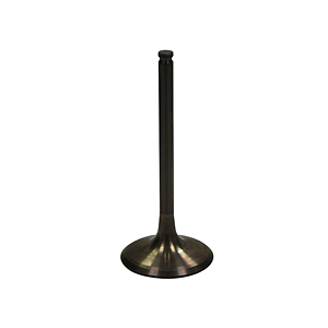 Bronco AU-09028I Intake Valve